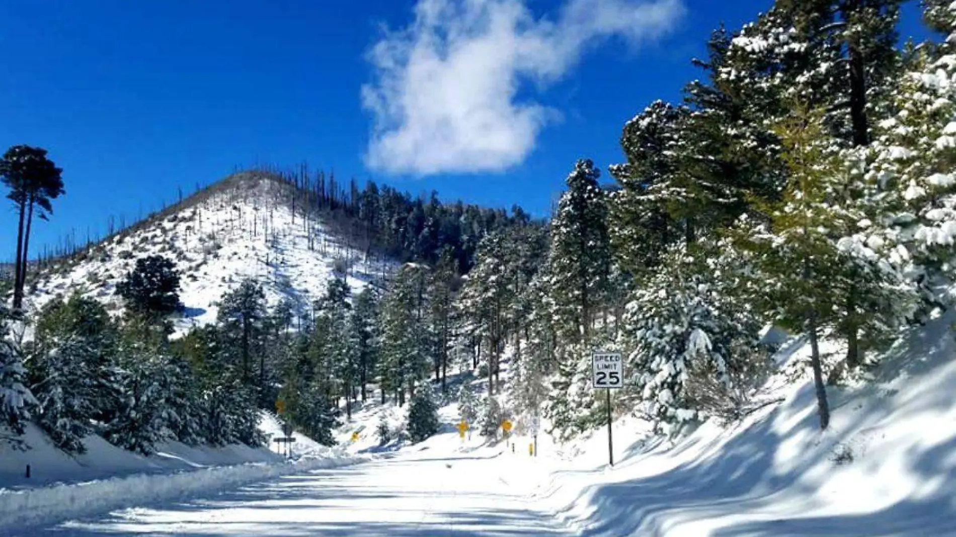 Mount Lemmon nevada - Portada